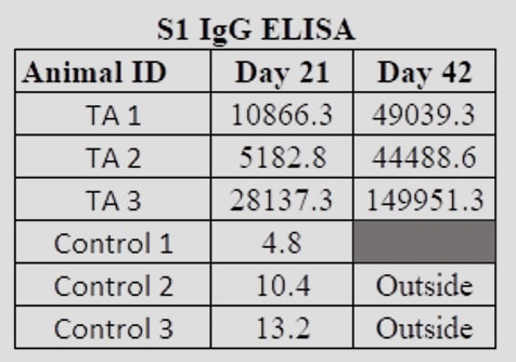 IGG antibody ELISA results